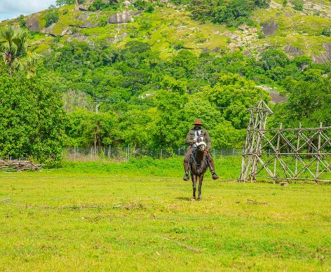 horse riding in kap film village and Resort